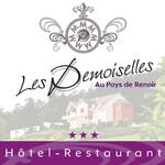 image Les Demoiselles image Les Demoiselles